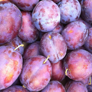 Sadnice šljiva – President